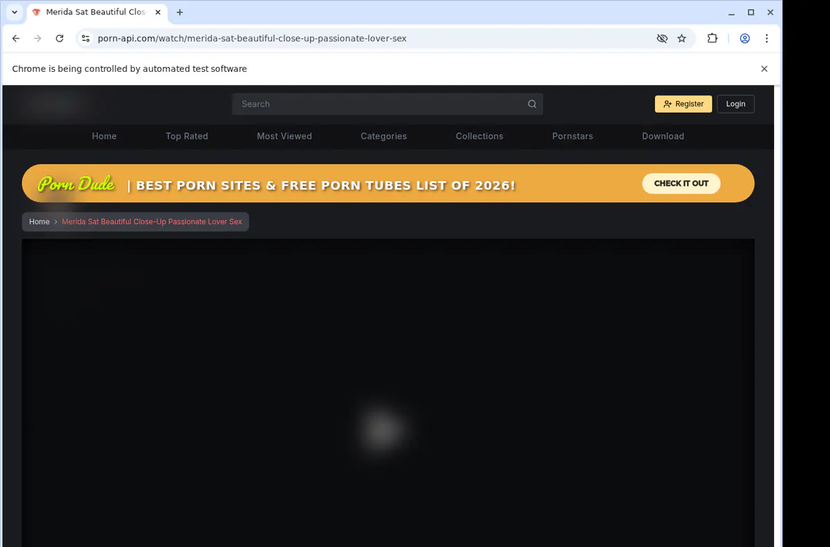 Pornapi Video Downloader browser extension screenshot 2