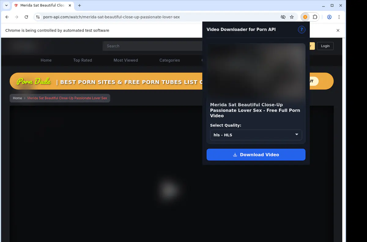 Pornapi Video Downloader browser extension screenshot 3
