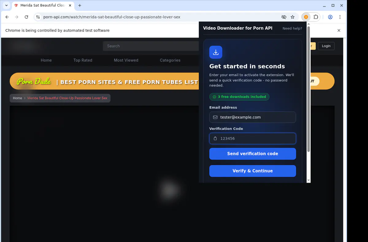 Pornapi Video Downloader browser extension screenshot 4