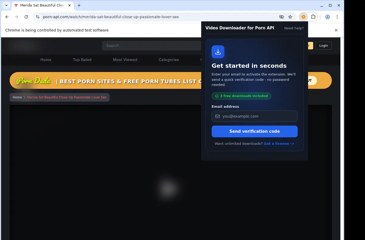 Pornapi Video Downloader browser extension screenshot 5